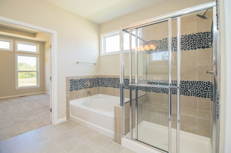 Elegant Shower Renovation